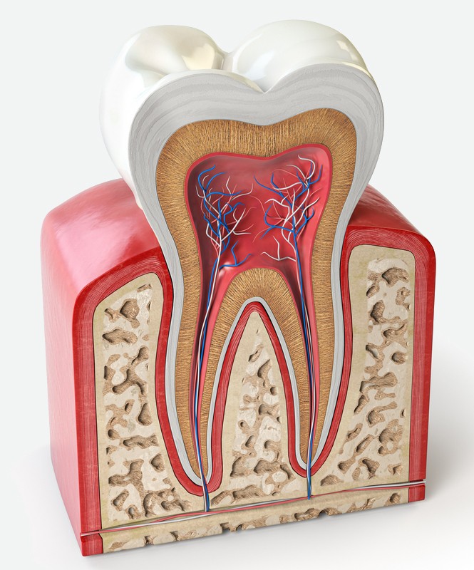 tratament canal constanta, alya medical center, stomatologie constanta, dentist constanta